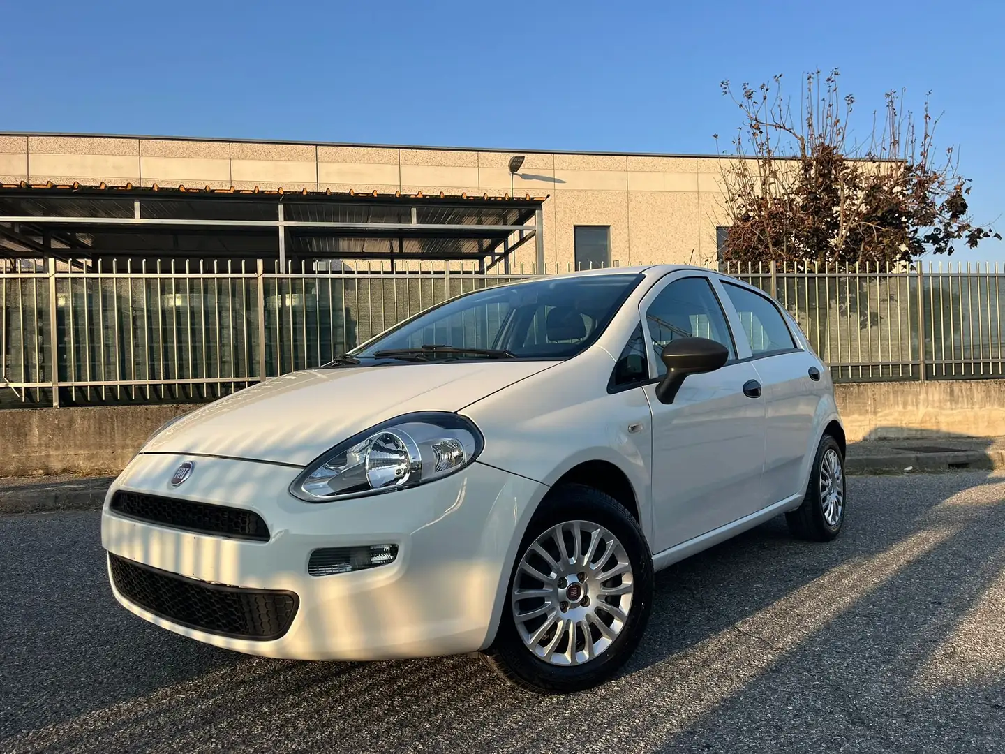 Fiat Punto Punto 5p 1.2 Easy Wit - 1