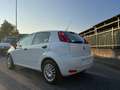 Fiat Punto Punto 5p 1.2 Easy Blanc - thumbnail 16