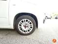 Fiat Panda City Life Hybrid 1.0 Gse 51kw (70CV) Blanco - thumbnail 15