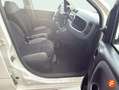 Fiat Panda City Life Hybrid 1.0 Gse 51kw (70CV) Blanco - thumbnail 11