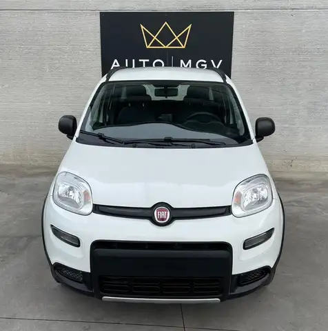 Fiat Panda view 2