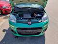 Fiat New Panda 1.2 8V EASY KLIMA+SITZHZEITUNG Vert - thumbnail 18