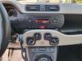 Fiat New Panda 1.2 8V EASY KLIMA+SITZHZEITUNG Vert - thumbnail 11