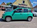 Fiat New Panda 1.2 8V EASY KLIMA+SITZHZEITUNG Vert - thumbnail 6