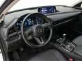 Mazda CX-30 2.5 e-Skyactiv-G Homura FWD 103kW Rojo - thumbnail 12