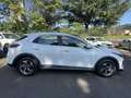 Kia XCeed 1.0 t-gdi Style Gpl 111cv - thumbnail 4