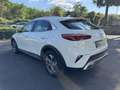 Kia XCeed 1.0 t-gdi Style Gpl 111cv - thumbnail 8