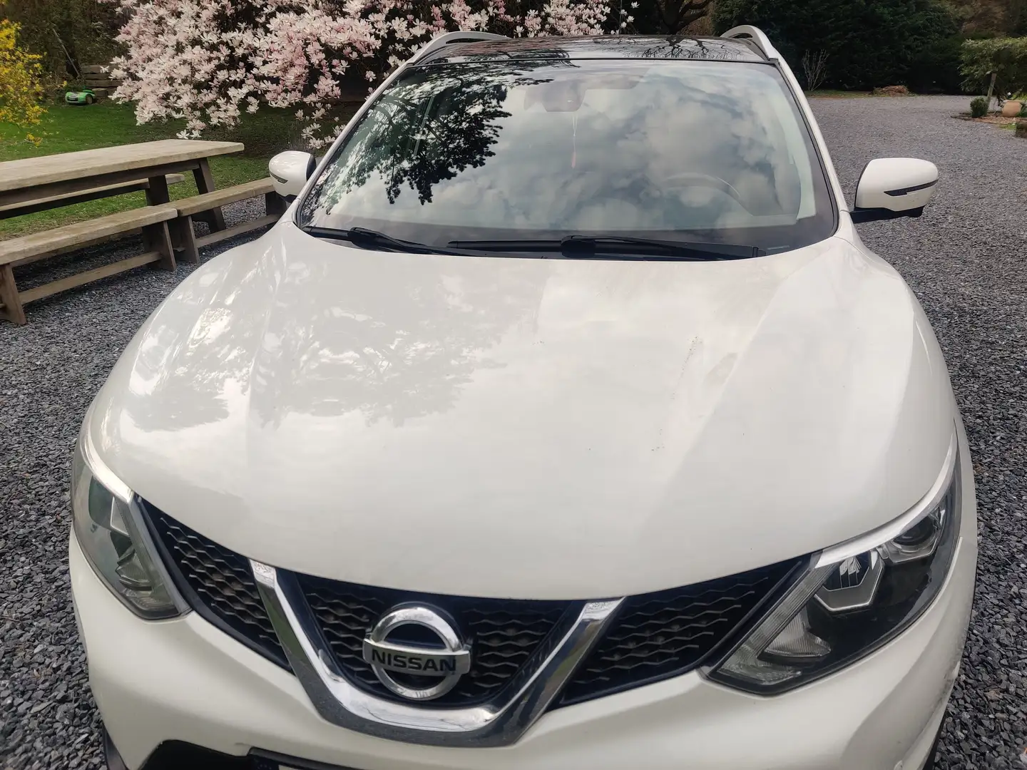 Nissan Qashqai 1.2 DIG-T 2WD N-Connecta Wit - 1