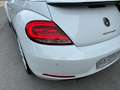Volkswagen Maggiolino Cabrio 2.0 tdi Sport Bianco Perlato DSG !!! Alb - thumbnail 8