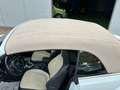 Volkswagen Maggiolino Cabrio 2.0 tdi Sport Bianco Perlato DSG !!! Blanc - thumbnail 10
