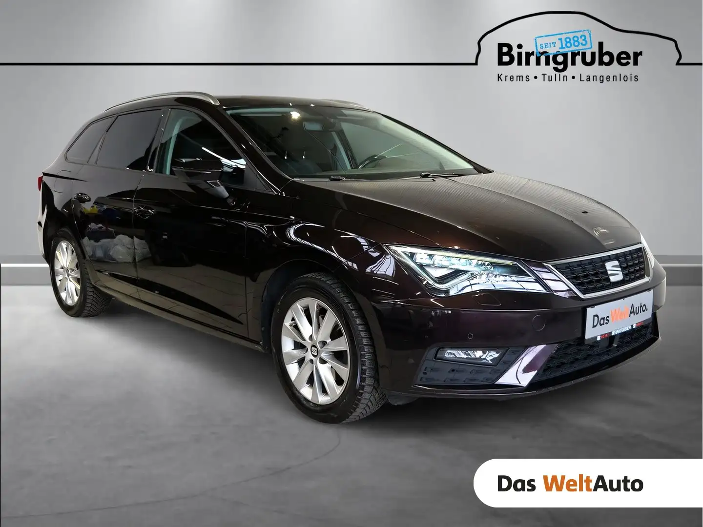 SEAT Leon Style TSI Violett - 1