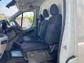 Maxus Deliver 9 DELIVER9 2.0 CRDI 150CV L3H2 6METRI Weiß - thumbnail 13