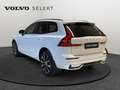 Volvo XC60 B4 Ultimate Dark / Diesel Blanco - thumbnail 24