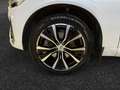 Volvo XC60 B4 Ultimate Dark / Diesel Blanco - thumbnail 14