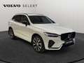 Volvo XC60 B4 Ultimate Dark / Diesel Blanco - thumbnail 7