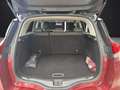 Renault Scenic Scénic Blue dCi 120 CV Sport Edition Rosso - thumbnail 5