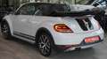 Volkswagen Beetle Cabriolet Dune DSG*CHRONO*NAVI*18 ZOLL* Silber - thumbnail 7