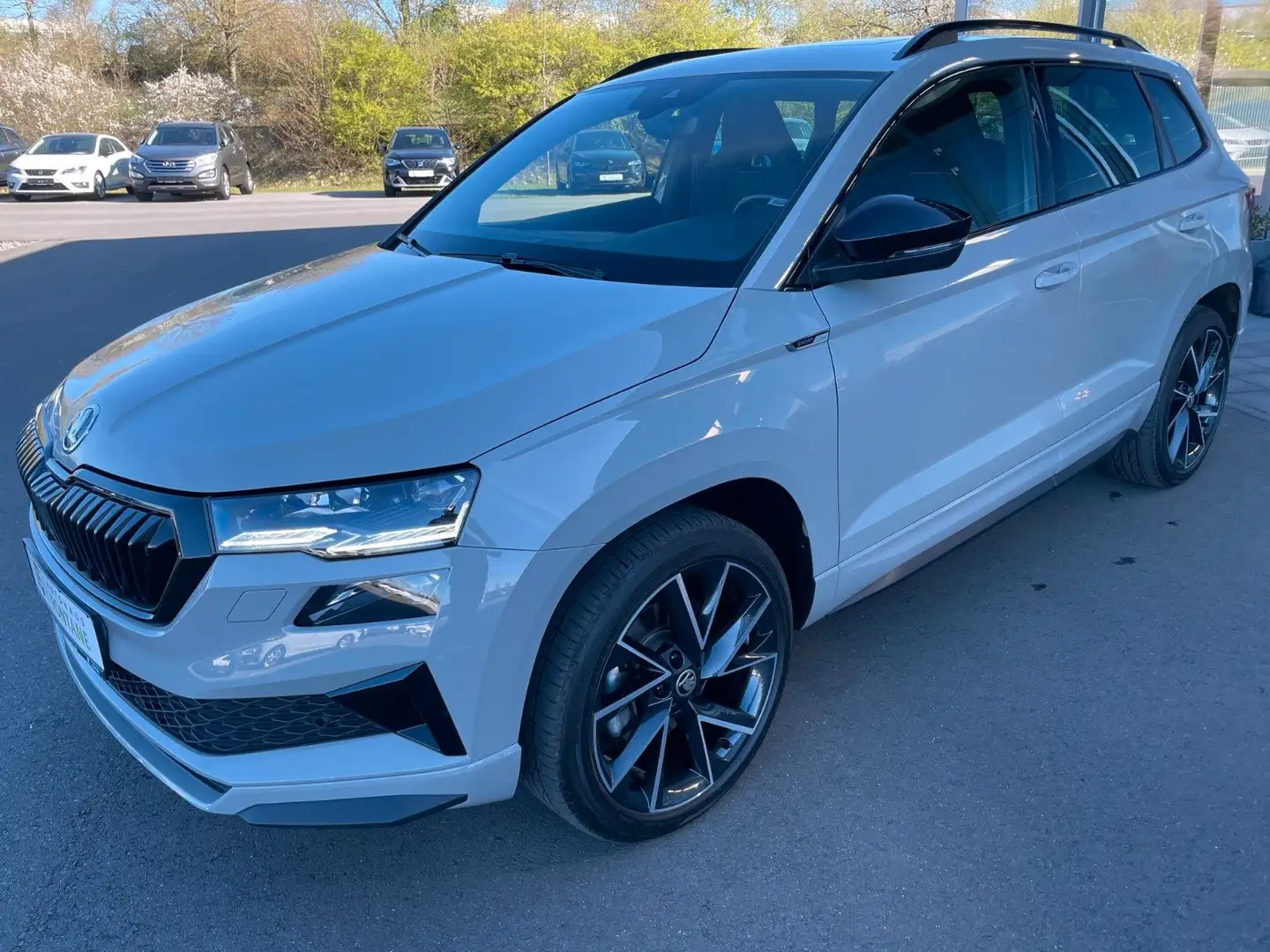 Skoda Karoq 2,0TSi Sportline 4x4 Pano 19"Canton AHK Gris - 1
