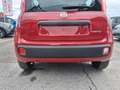 Fiat Panda Pandina 1.0 firefly hybrid Icon s Rosso - thumbnail 4