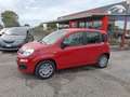 Fiat Panda Pandina 1.0 firefly hybrid Icon s Rosso - thumbnail 1