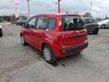 Fiat Panda Pandina 1.0 firefly hybrid Icon s Rosso - thumbnail 3