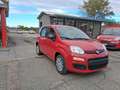 Fiat Panda Pandina 1.0 firefly hybrid Icon s Rosso - thumbnail 2