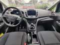 Ford C-Max C-Max 1.0 Klimaauto, Navi, Business-, Winterpaket Grau - thumbnail 7