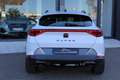 CUPRA Formentor 2.0 TSI 190 DSG 4Drive Blanco - thumbnail 7