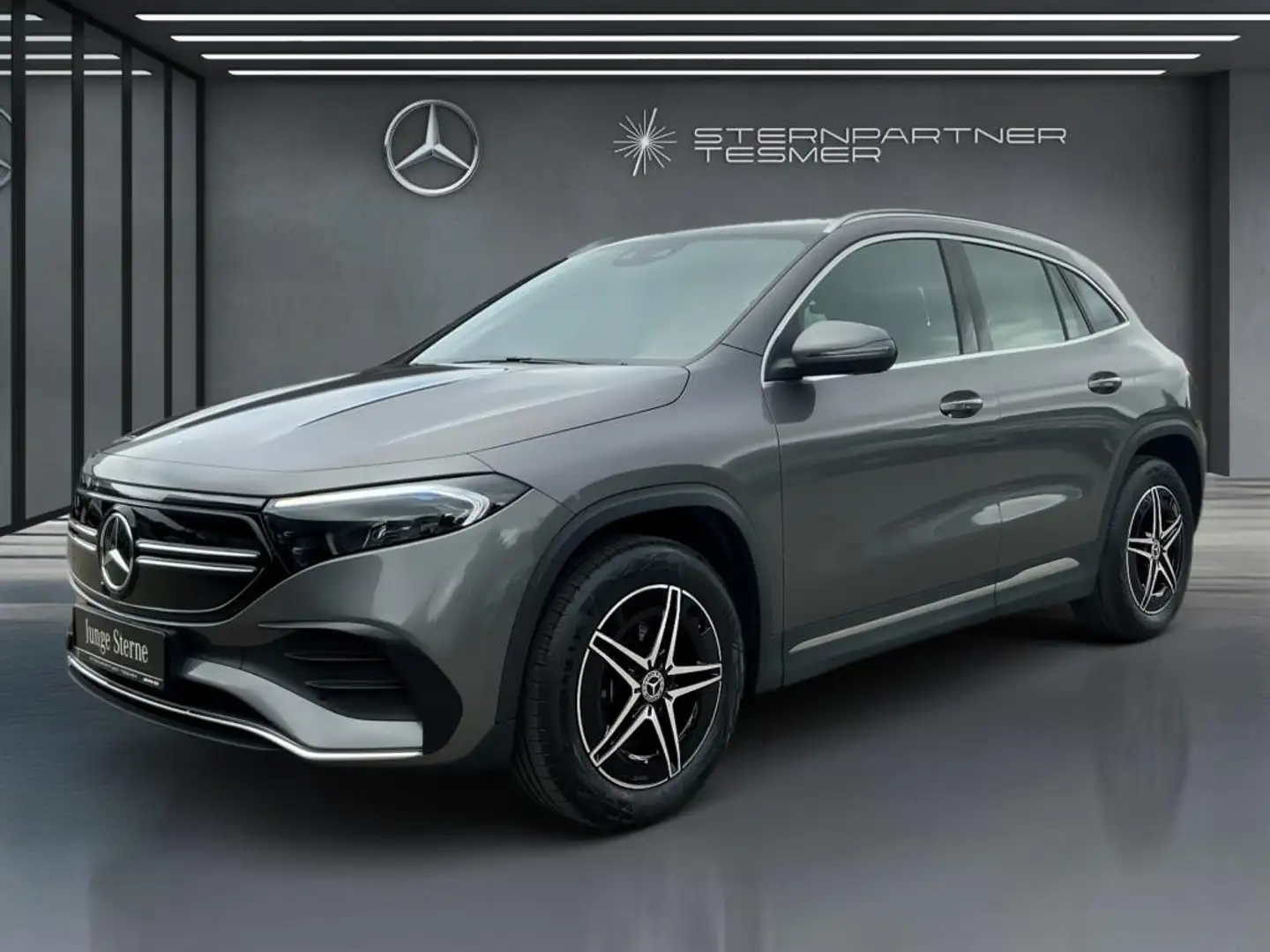 Mercedes-Benz EQA 350 4M AMG Mbux Kamera Sitzh. LED Tempomat Šedá - 2