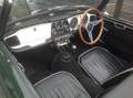 Triumph TR4 Bj. 63 RHD ältere body-off Restauration Grün - thumbnail 15