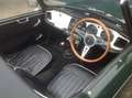 Triumph TR4 Bj. 63 RHD ältere body-off Restauration Grün - thumbnail 14