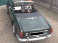 Triumph TR4 Bj. 63 RHD ältere body-off Restauration Grün - thumbnail 6