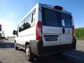 Fiat Ducato 2.3MJT 9 Posti PREZZO VALDIO FINO 20.12, GARANZIA Grigio - thumbnail 5