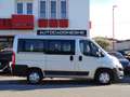 Fiat Ducato 2.3MJT 9 Posti PREZZO VALDIO FINO 20.12, GARANZIA Grigio - thumbnail 3