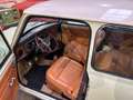 Rover MINI Mini 1.0 Mayfair Giallo - thumbnail 1