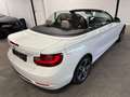 BMW 218 Cabriolet 218dA Sportline Blanc - thumbnail 7