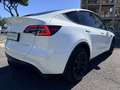 Tesla Model Y Long Range Dual Motor awd 4x4 Interni BIANCHI Bianco - thumbnail 3