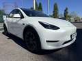 Tesla Model Y Long Range Dual Motor awd 4x4 Interni BIANCHI Bianco - thumbnail 6