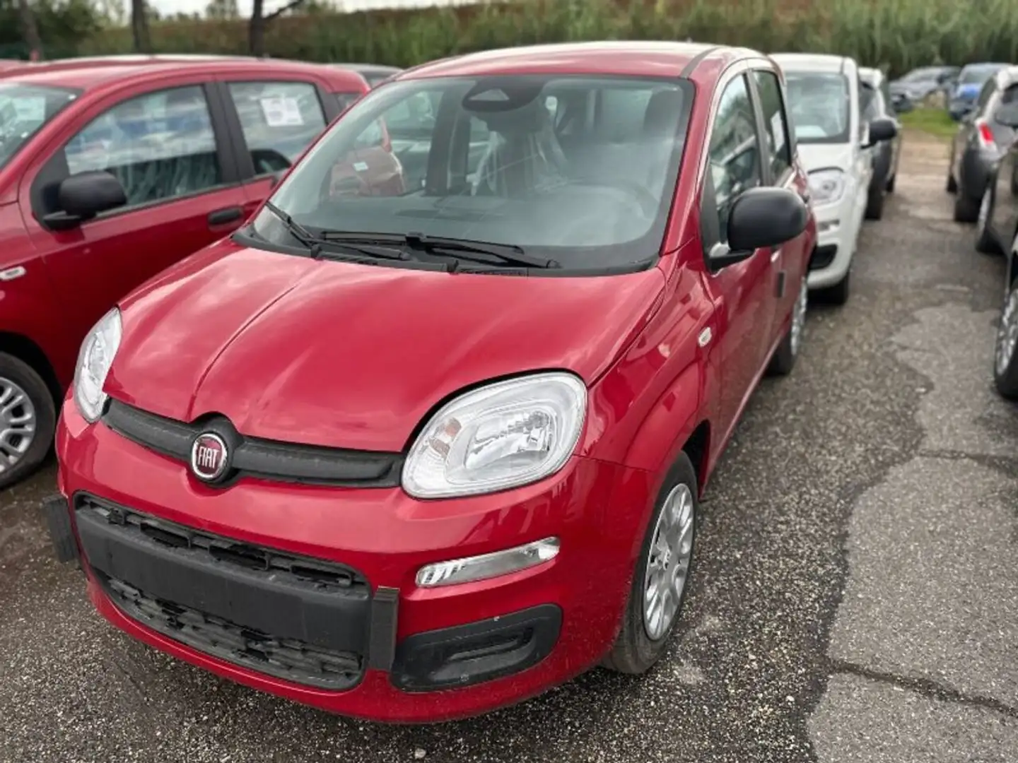 Fiat Panda 1.0 FireFly Hybrid Pop Rouge - 1