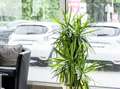 Dacia Bigster TCe 140 Expression Mild Hybrid 140 Grau - thumbnail 30
