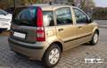 Fiat Panda Panda II 1.2 60 cv Dynamic 5p NEO PATENTATI Bronzo - thumbnail 3