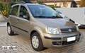 Fiat Panda Panda II 1.2 60 cv Dynamic 5p NEO PATENTATI Bronzo - thumbnail 2