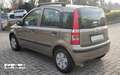 Fiat Panda Panda II 1.2 60 cv Dynamic 5p NEO PATENTATI Bronzo - thumbnail 4