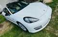 Porsche Panamera 3.0 tiptronic - thumbnail 10