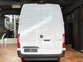 Mercedes-Benz Sprinter 317 MAXI TIEFKÜHLKASTEN -18°C/+4°C L3H2 3,5T 360°K Bílá - thumbnail 7