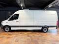 Mercedes-Benz Sprinter 317 MAXI TIEFKÜHLKASTEN -18°C/+4°C L3H2 3,5T 360°K Bílá - thumbnail 5