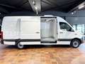 Mercedes-Benz Sprinter 317 MAXI TIEFKÜHLKASTEN -18°C/+4°C L3H2 3,5T 360°K Bílá - thumbnail 13
