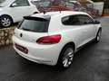 Volkswagen Scirocco 2.0 tdi 170cv dsg ..PELLE TOTALE..NAVI..C.DA 18 Alb - thumbnail 4