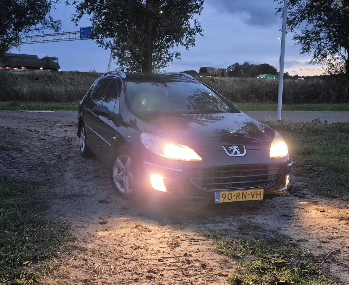 Peugeot 407