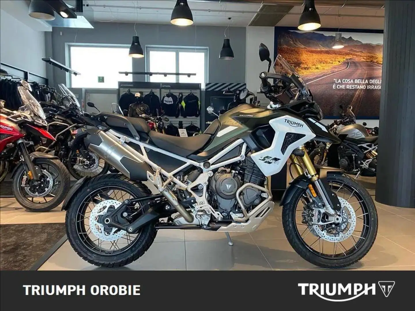 Triumph Tiger 1200 Rally Pro Abs Verde - 1